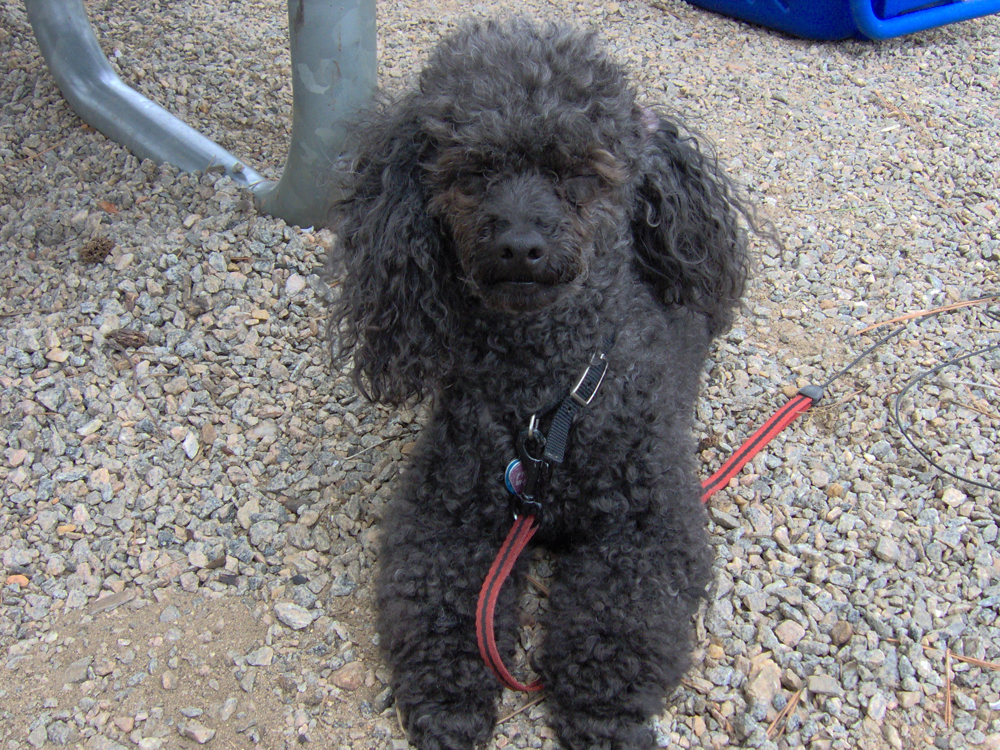 ./2006/Kerr Lake RSPS/RSPS Kerr Lake 0026.JPG